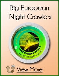Big Red European Night Crawlers